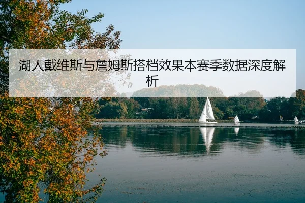 湖人戴维斯与詹姆斯搭档效果本赛季数据深度解析